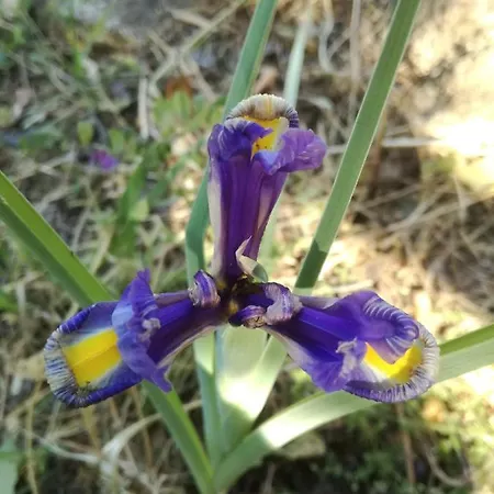 Room In Guest Room - 1St Private Room On The Ground Floor With Use Of The Swimming Pool And Shared Services Gasthof